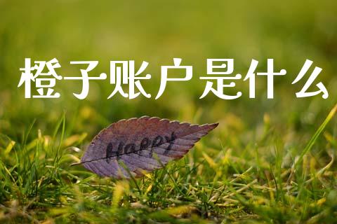 橙子账户是什么_https://wap.lcpcjs.com_美股行情_第1张