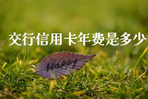 交行信用卡年费是多少_https://wap.lcpcjs.com_股港行情_第1张