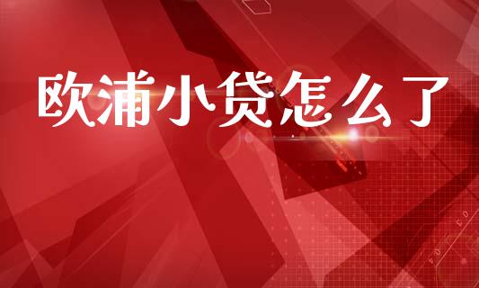 欧浦小贷怎么了_https://wap.lcpcjs.com_外汇市场_第1张