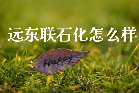 远东联石化怎么样_https://wap.lcpcjs.com_美股行情_第1张