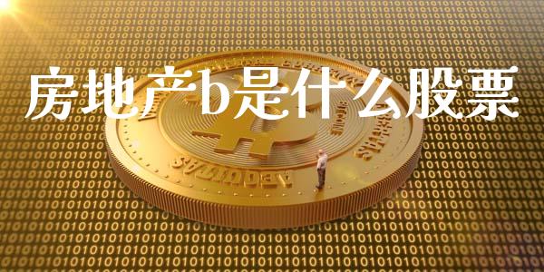 房地产b是什么股票_https://wap.lcpcjs.com_外汇市场_第1张