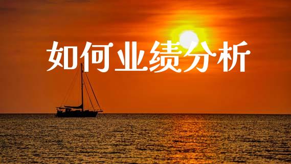 如何业绩分析_https://wap.lcpcjs.com_股港行情_第1张