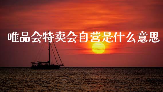 唯品会特卖会自营是什么意思_https://wap.lcpcjs.com_全球经济_第1张