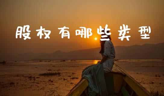 股权有哪些类型_https://wap.lcpcjs.com_全球经济_第1张