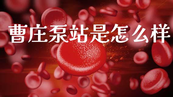 曹庄泵站是怎么样_https://wap.lcpcjs.com_股港行情_第1张
