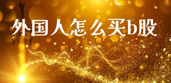 外国人怎么买b股_https://wap.lcpcjs.com_美股行情_第1张