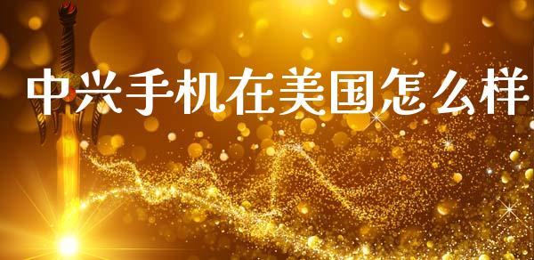 中兴手机在美国怎么样_https://wap.lcpcjs.com_外汇市场_第1张