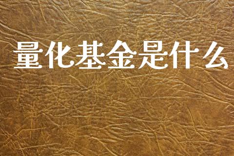 量化基金是什么_https://wap.lcpcjs.com_美股行情_第1张
