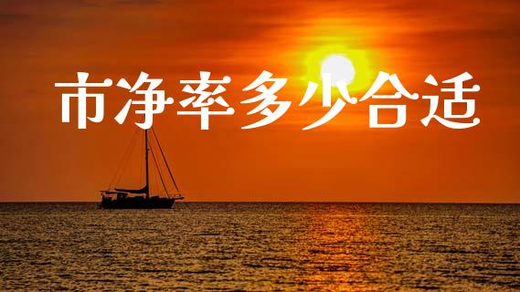 市净率多少合适_https://wap.lcpcjs.com_全球经济_第1张