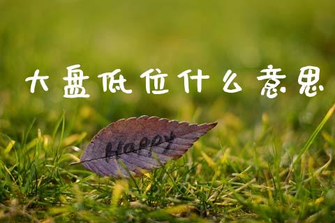 大盘低位什么意思_https://wap.lcpcjs.com_美股行情_第1张