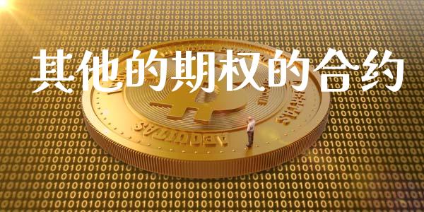 其他的期权的合约_https://wap.lcpcjs.com_全球经济_第1张