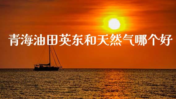 青海油田英东和天然气哪个好_https://wap.lcpcjs.com_全球经济_第1张