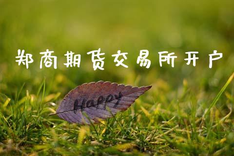 郑商期货交易所开户_https://wap.lcpcjs.com_美股行情_第1张