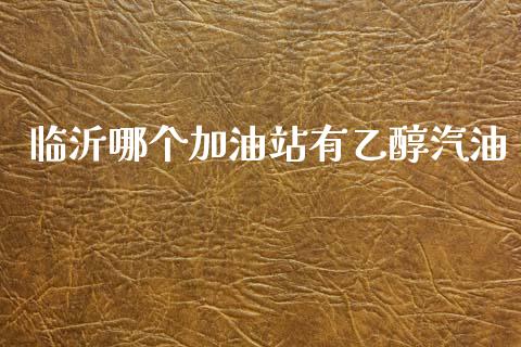 临沂哪个加油站有乙醇汽油_https://wap.lcpcjs.com_美股行情_第1张