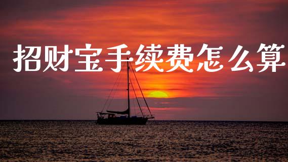 招财宝手续费怎么算_https://wap.lcpcjs.com_美股行情_第1张