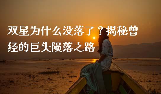 双星为什么没落了？揭秘曾经的巨头陨落之路_https://wap.lcpcjs.com_美股行情_第1张