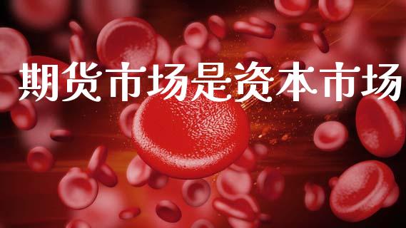 期货市场是资本市场_https://wap.lcpcjs.com_外汇市场_第1张