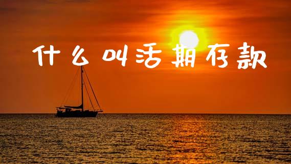 什么叫活期存款_https://wap.lcpcjs.com_股港行情_第1张