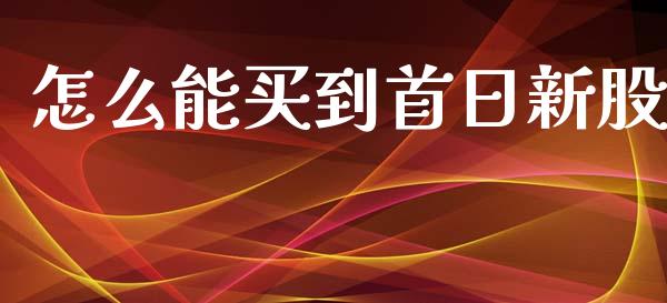 怎么能买到首日新股_https://wap.lcpcjs.com_外汇市场_第1张