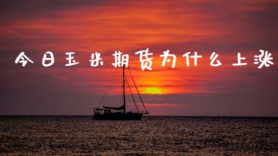 今日玉米期货为什么上涨_全球经济_第1张_全球经济_美股行情_外汇市场_股港行情 今日玉米期货为什么上涨_https://wap.lcpcjs.com_全球经济_第1张