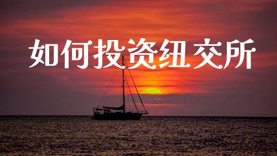 如何投资纽交所_https://wap.lcpcjs.com_股港行情_第1张