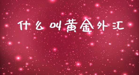 什么叫黄金外汇_https://wap.lcpcjs.com_全球经济_第1张