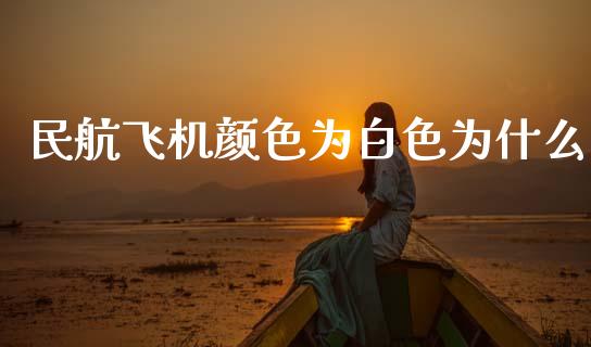 民航飞机颜色为白色为什么_https://wap.lcpcjs.com_美股行情_第1张