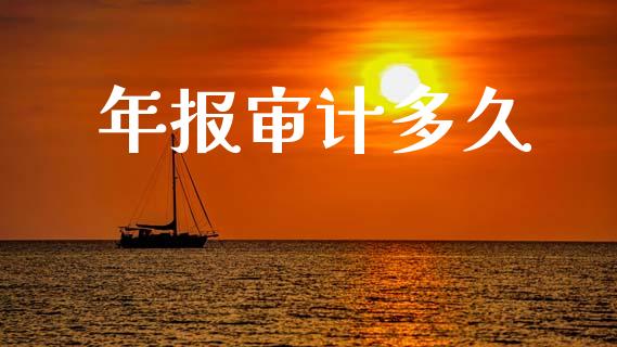 年报审计多久_https://wap.lcpcjs.com_股港行情_第1张
