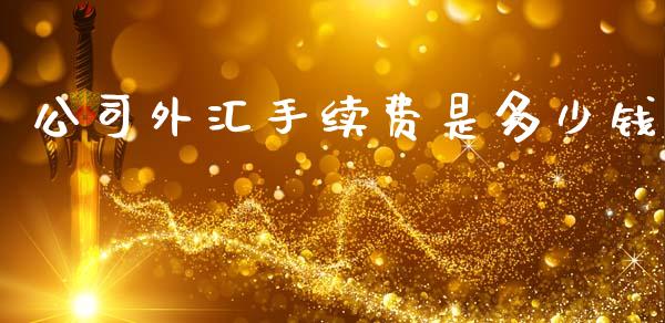 公司外汇手续费是多少钱_https://wap.lcpcjs.com_股港行情_第1张