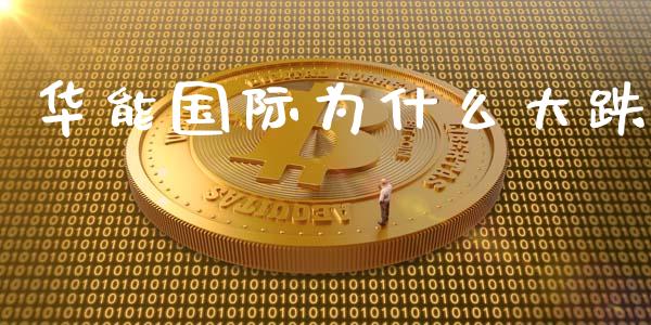 华能国际为什么大跌_https://wap.lcpcjs.com_全球经济_第1张