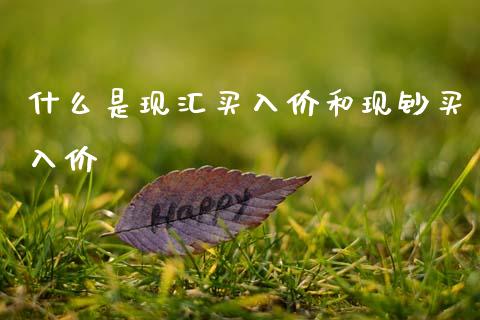 什么是现汇买入价和现钞买入价_https://wap.lcpcjs.com_美股行情_第1张