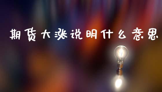 期货大涨说明什么意思_https://wap.lcpcjs.com_股港行情_第1张