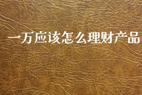 一万应该怎么理财产品_https://wap.lcpcjs.com_美股行情_第1张