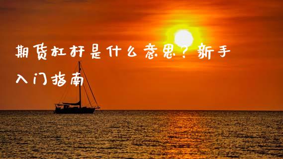 期货杠杆是什么意思？新手入门指南_https://wap.lcpcjs.com_全球经济_第1张