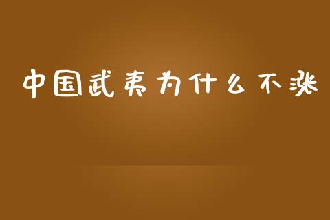 中国武夷为什么不涨_https://wap.lcpcjs.com_外汇市场_第1张