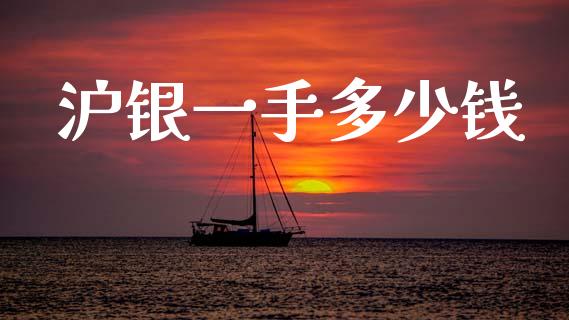 沪银一手多少钱_https://wap.lcpcjs.com_外汇市场_第1张