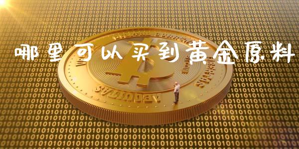 哪里可以买到黄金原料_https://wap.lcpcjs.com_美股行情_第1张