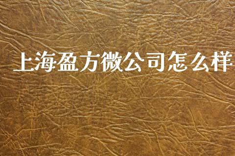 上海盈方微公司怎么样_https://wap.lcpcjs.com_外汇市场_第1张
