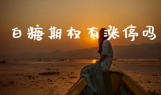 白糖期权有涨停吗_https://wap.lcpcjs.com_全球经济_第1张