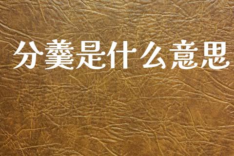 分羹是什么意思_https://wap.lcpcjs.com_股港行情_第1张