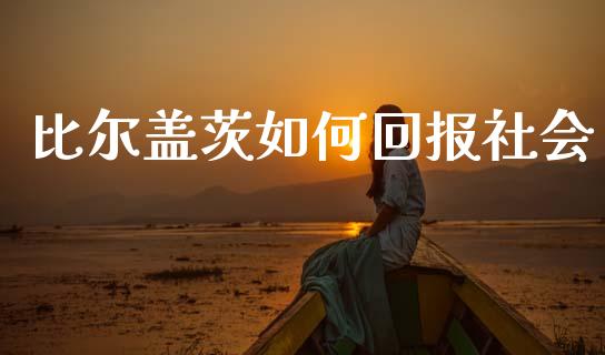 比尔盖茨如何回报社会_https://wap.lcpcjs.com_股港行情_第1张