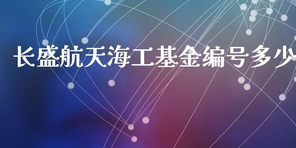 长盛航天海工基金编号多少_https://wap.lcpcjs.com_美股行情_第1张