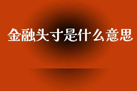 金融头寸是什么意思_https://wap.lcpcjs.com_美股行情_第1张
