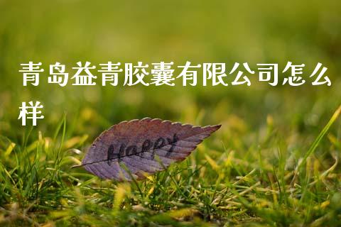 青岛益青胶囊有限公司怎么样_https://wap.lcpcjs.com_股港行情_第1张