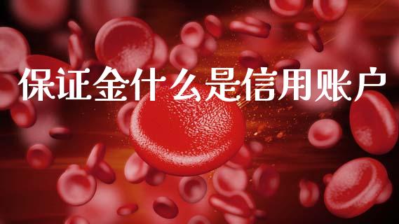 保证金什么是信用账户_https://wap.lcpcjs.com_外汇市场_第1张