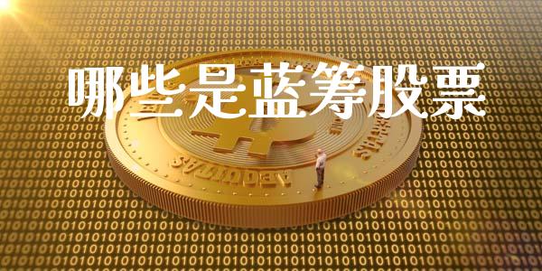 哪些是蓝筹股票_https://wap.lcpcjs.com_外汇市场_第1张