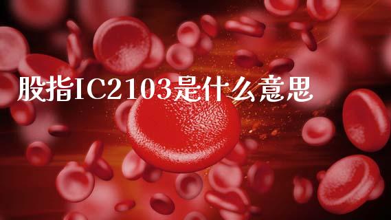 股指IC2103是什么意思_美股行情_第1张_全球经济_美股行情_外汇市场_股港行情 股指IC2103是什么意思_https://wap.lcpcjs.com_美股行情_第1张