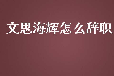 文思海辉怎么辞职_https://wap.lcpcjs.com_美股行情_第1张