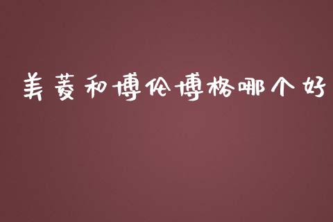 美菱和博伦博格哪个好_https://wap.lcpcjs.com_全球经济_第1张