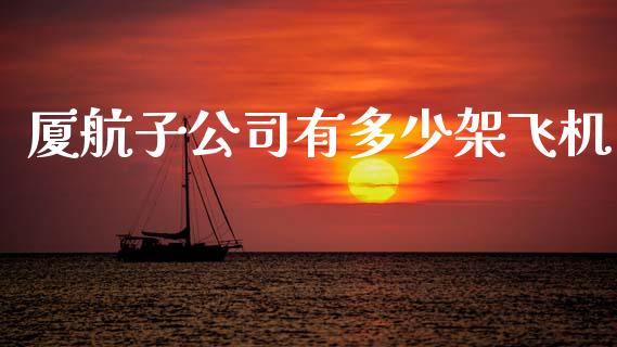 厦航子公司有多少架飞机_https://wap.lcpcjs.com_美股行情_第1张